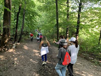 OriginalImage,Original